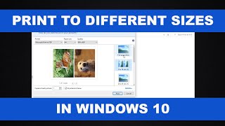 How to Print Photos in Different Sizes in Windows 10 [upl. by Akirahs]