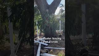 fencingcontractor floridafencing diy shortvideo shorts [upl. by Apfel]