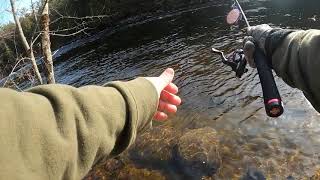 Trout Fishing the Schroon River [upl. by Wilie702]