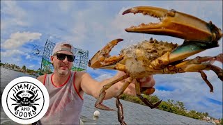 Maryland Style STEAMED CRABS Catch and Cook [upl. by Dixon]