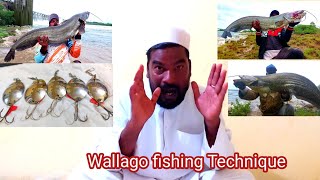 Wallago attu fishing Technique  Wallago macli Pakadna ka Tarika  Best Fishing Technique [upl. by Adrienne]