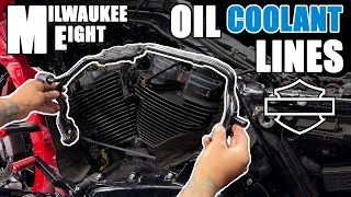 How to remove Harley M8 Oil Coolant Lines  Milwaukee Eight [upl. by Redmer213]