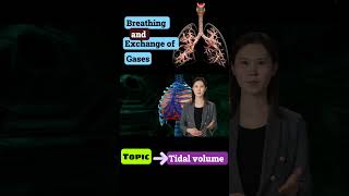 part 2 tidal volume breathing and exchange of gases neet Cbse [upl. by Bronny]