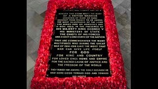 The British Unknown Soldier  Warrior  Lest We Forget [upl. by Ijok]