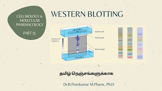 Western Blotting  CBMPPart35Tamil [upl. by Aleb]