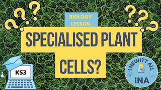 Specialised Plant Cells KS3 Biology Revision [upl. by Neila213]