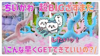 ちいかわ超BIGさすまた こんな早くGETできていいの？ ヤーッしたいッ！ [upl. by Doti]