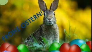 Der Osterhase erklärt wann Ostern ist 🐰 und wünscht quotFROHE OSTERNquot  Ostergrüße [upl. by Joy]