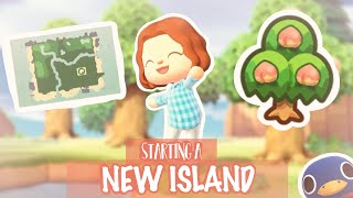 STARTING A NEW ISLAND 🏝 Day 1  Animal Crossing New Horizons [upl. by Acissj245]