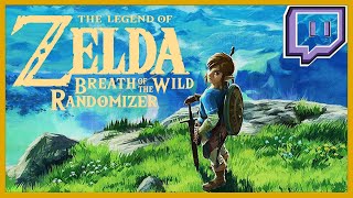 ⭐Zelda BOTW fin du Randomizer ⭐ Double Live Youtube amp Twitch [upl. by Aerdnaek]