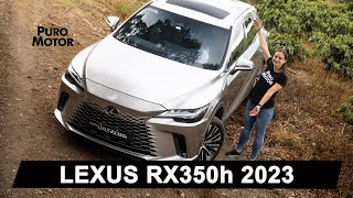 LEXUS RX350h 2023  TEST DRIVE [upl. by Lama723]