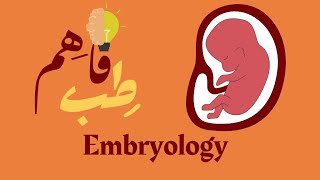 General embryology Spermatogenesis [upl. by Gilbert]