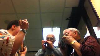 PerfidiaHarmonica Trio with Harmonicat Dick Gardner [upl. by Stevena]