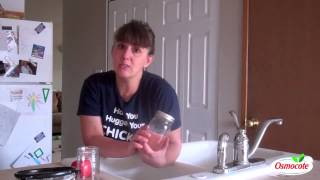 How to Ferment Tomato Seeds [upl. by Andriette]