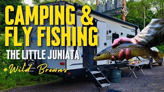 Camping And Fly Fishing The Little Juniata River  Nymphing for Wild Browns [upl. by Sivrat]