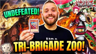 YuGiOh BRYANS UNDEFEATED ZOODIAC TRIBRIGADE DECK PROFILE SIDE DECK  LETS TOP LOCALS VLOG [upl. by Jaquiss]