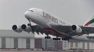 Airbus A380 Emirates Airlines  Take Off and Landing [upl. by Elleuqram289]