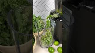 Alkaline Green Juice [upl. by Marpet]