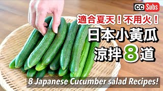 【8道小黃瓜涼拌】適合夏天！不用火！小黃瓜食譜  淺漬小黃瓜  韓式辣黃瓜  上癮私房醃小黃瓜  涼拌小黃瓜海帶芽醋  小黃瓜涼拌梅乾柴魚片  Cucumber Recipes [upl. by Weatherby658]