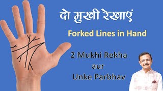 दो शाखा वाली रेखाओं का फल कैसे करें  2 mukhi rekha  biforked  lines on palm and their effects [upl. by Lzeil]