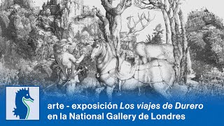 arte  exposición Los viajes de Durero en la National Gallery de Londres [upl. by Shanda314]