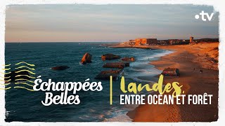 Les Landes entre océan et forêt  Échappées belles [upl. by Ahsets]