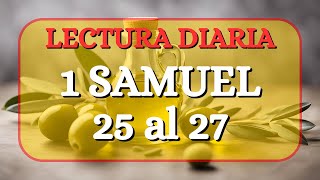 1 SAMUEL 25 al 27 📖 La Biblia HABLADA  Reina Valera Antigua  Lectura DIARIA biblia [upl. by Suanne242]