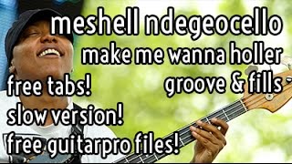 Lesson 14  Meshell Ndegeocello  Make Me Wanna Holler groove amp fills [upl. by Granville]