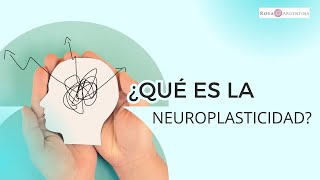 ¿Qué es la neuroplasticidad [upl. by Ecnerol]