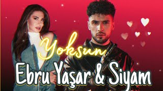 New Turkish Remix Ebru Yaşar And Siyam Yoksun remix turkish [upl. by Ajiam]