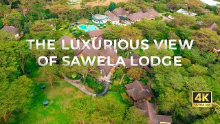 The luxurious Sawela Lodge [upl. by Yrrehs]