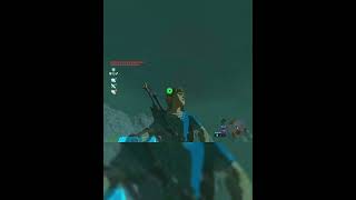 To the moon zelda breathofthewildclip zeldabotw botw nintendo [upl. by Hgielime41]