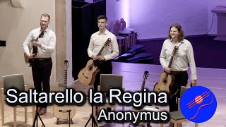 Tritonus Guitar Trio plays quotSaltarelloquot Anonymus  GFN 2023 [upl. by Ive]