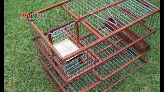 Trampera Multicaptura Sistema Molino quotSpiritquot  Multi Catch Bird Trap [upl. by Brandon207]