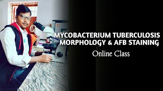 MYCOBACTERIUM TUBERCULOSIS MORPHOLOGY amp AFB STAINING ONLINE CLASS medicalscienceeducation [upl. by Bohlen]