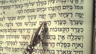 Song of Songs reading Hebrew Ashkenaz Rabbi Weisblum שיר השירים פסח נוסח אשכנז [upl. by Hazem]