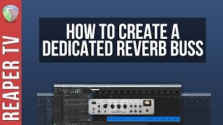 How To Set Up a Dedicated Reverb Buss in Reaper DAW [upl. by Nilved960]