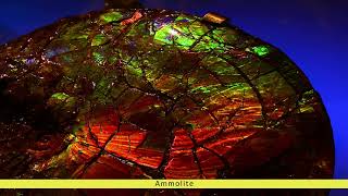 Ammolite Gemstones  Gemstones TV [upl. by Ihskaneem]