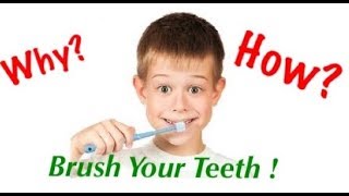 Why amp how to brush your teeth [upl. by Duggan958]