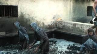 Indigo Dye Extraction [upl. by Neersan940]