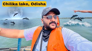 Chilika Lake tour Odisha Worth or Not   Asia’s Largest brackish water lagoon [upl. by Suryc109]