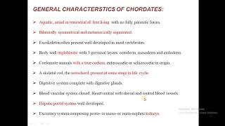 Chordate Characteristics and Thier Classifications [upl. by Ahsratan880]