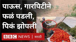 Maharashtra Unseasonal Rains News गारपीट वादळामुळे शेतकऱ्यांच्या Rabi Crop चं नुकसान BBC Weather [upl. by Ewold]