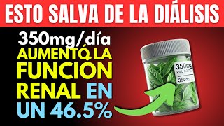 ✅ Fin de la enfermedad renal el remedio mejora la función renal en un 465 en 12 semanas [upl. by Melosa]