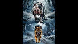 German Shepherd vs Bully Kutta vs Rottweiler Husky labradorretriever Battle [upl. by Niabi203]