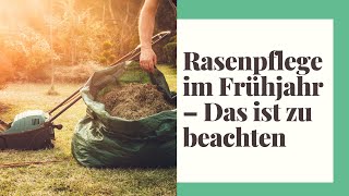 Rasenpflege im Frühjahr – Das ist zu beachten [upl. by Semadar365]