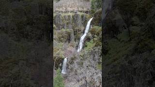 Camping in the rain in our Timberleaf PIKA teardrop trailer short overlanding camping 4x4 [upl. by Ayatnwahs]