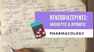 Benzodiazepines Anxiolytic and Hypnotic  PHARMACOLOGY UrduHindi [upl. by Euqinue]