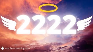 ANGEL NUMBER 2222  Meaning [upl. by Airahcaz358]