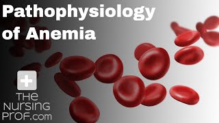 Pathophysiology of Anemia [upl. by Iur222]